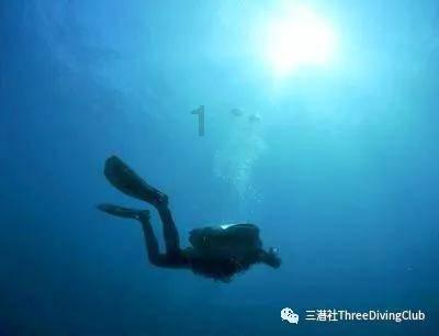 进出口企业aeo认证报关系统有哪些？有哪些关务管理软件适合上海报关企业的？